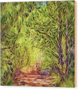 Forest Trail Journey Wood Print