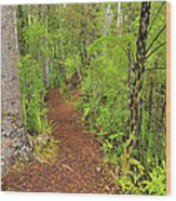 Forest Trail Wood Print