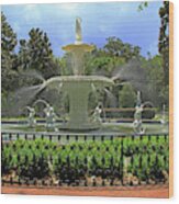 Forsyth Fountain - Savannah, Ga. Wood Print