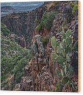 Four Peaks Canyons And Prickly Pear Wood Print