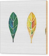 Four Seasons Wood Print