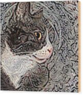 Franklyn The Tuxedo Cat Wood Print