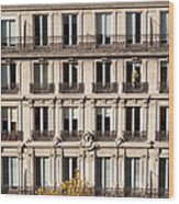 French Building Facade In Paris Wood Print