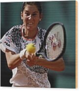 French Open Tennis Championship Wood Print