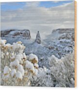 Fresh Snow At Independence Canyon Wood Print