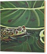 Frog In Pond Wood Print