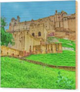 Front View Of Amer Fort - India Wood Print