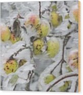 Frozen Apple Tree Wood Print