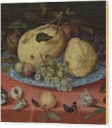 Fruit Still Life With Shells And Tulip Wood Print