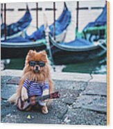 Funny Dog At The Carnival In Venice Wood Print