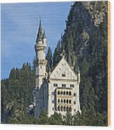 Germany, Castle Neuschwanstein Wood Print