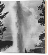 Geyser In Yellowstone National Park Wood Print