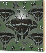 Giant Swallowtail Butterflies Wood Print