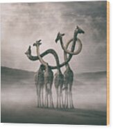 Giraffes Embracing Wood Print