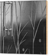 Glass Door In Black And White Wood Print