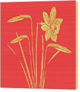 Golden Daffodil Wood Print