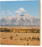 Golden Grand Tetons Wood Print