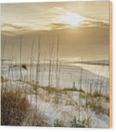Golden Seagrove Beach Sunset Wood Print