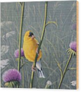 Goldfinch Wood Print