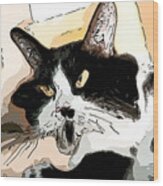 Goofy Tuxedo Cat Color Wood Print