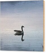 Goose In A Oregon Pond 188 Wood Print