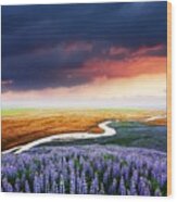 Gorgeous Landscape With River, Lupine Wood Print
