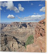 Grand Canyon National Park Wood Print