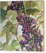 Watercolor Of A Cluster Of Grapes On A Vine Wood Print
