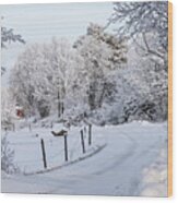 Gravelled Road In Winter Wood Print