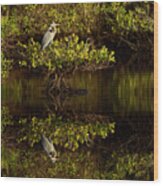 Great Blue Heron And Reflection, Ardea Wood Print