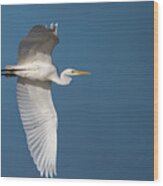Great Egret's Flight Wood Print