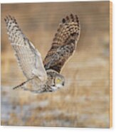 Great Horned Owl In Flight Wood Print
