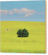 Green Bush In The Middle Of Yellow Sea   Paintography Wood Print