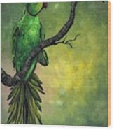 Green Ring -necked Parrot Wood Print