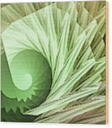 Green Seashell Wood Print