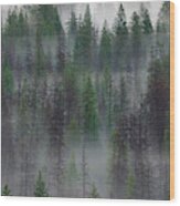 Green Yosemite Wood Print