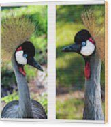 Grey Crowned Crane Gulf Shores Al Collage 7 Diptych Wood Print