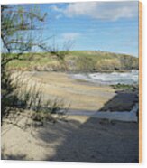 Gunwalloe Church Cove From The Shadows Wood Print