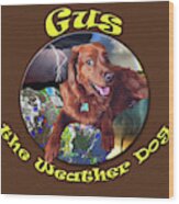 Gus The Weather Dog Wood Print