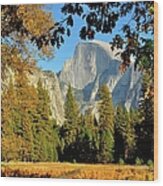 Half Dome Framed By Fall Colors Wood Print