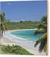 Halfmoon Bay, Antigua And Barbuda Wood Print