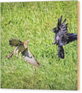 Hawk Attacks Crow Wood Print