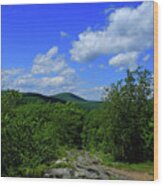 Heading Bear Mountain Connecticut On The Appalachian Trail Wood Print