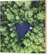 Heart Shaped Pond Wood Print