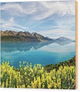 Heavenly Reflection, Lake Wakatipu Wood Print