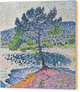 Henri-edmond Cross -douai, 1856-saint-clair, 1910-. Beach. Evening Effect -1902-. Oil On Canvas. ... Wood Print
