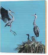 Heron Nest Flight Wood Print