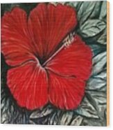 Red Hibiscus Florida Art Wood Print