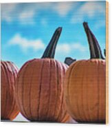 High Pumpkins Wood Print