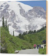 Hikers On Trail Above Paradise With  Mount Rainier Wood Print